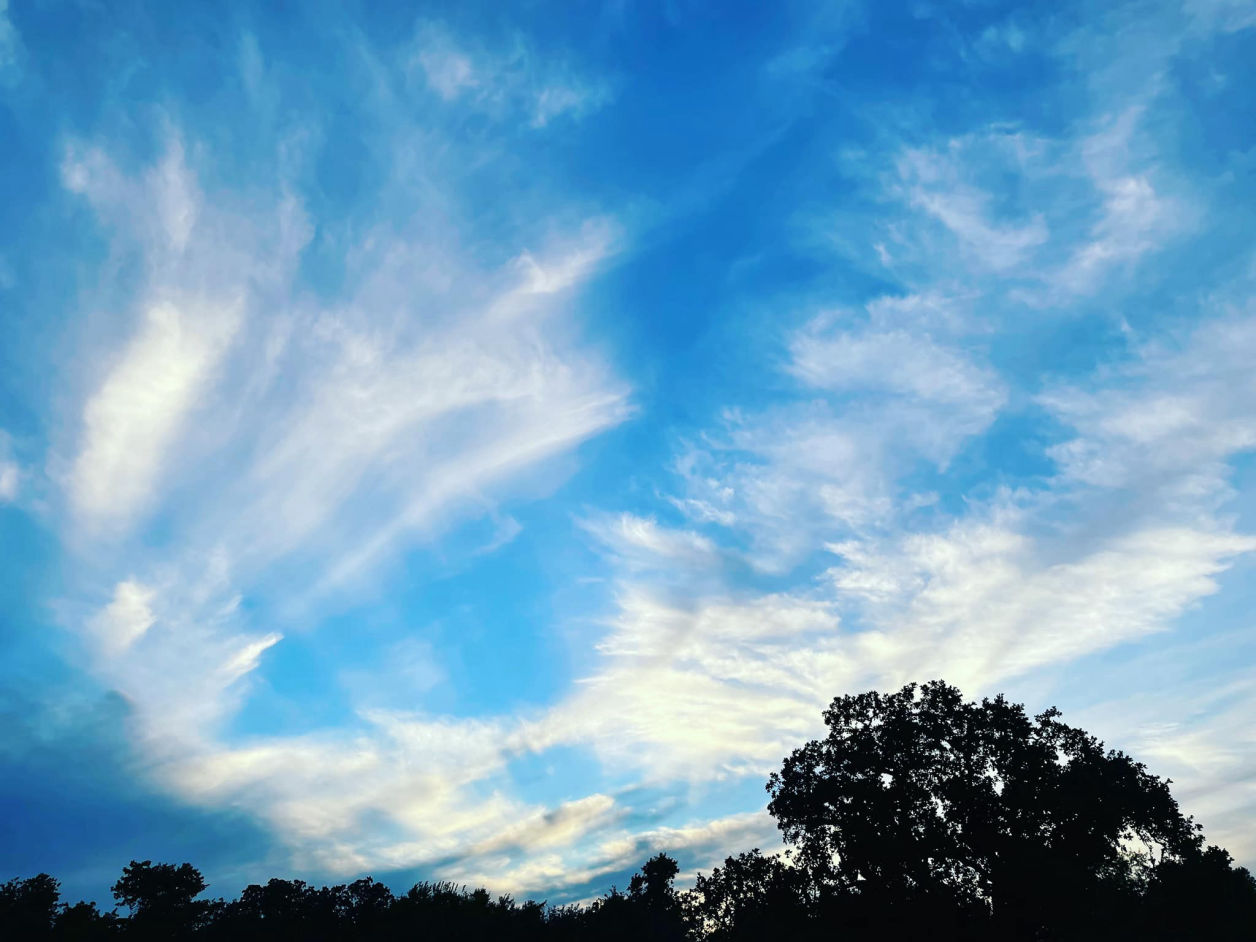 Sky with clouds